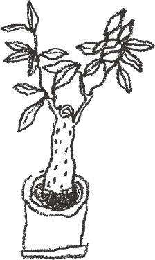 観葉植物のイラスト